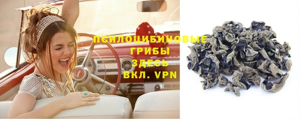 прущие крисы Абинск
