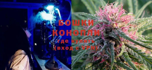 PSILOCYBIN Абаза