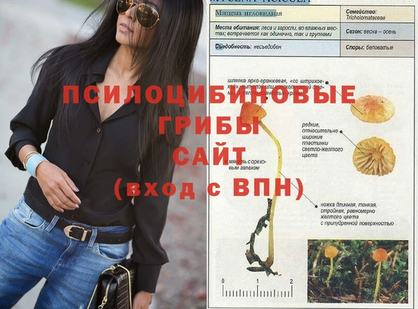 PSILOCYBIN Абаза